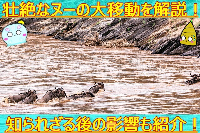 Thumbnail of post image 024